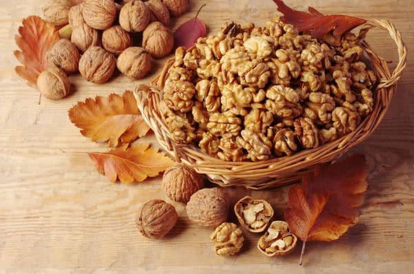 تصویر 4 از خرید مغز گردو دندانه + قیمت فروش استثنایی